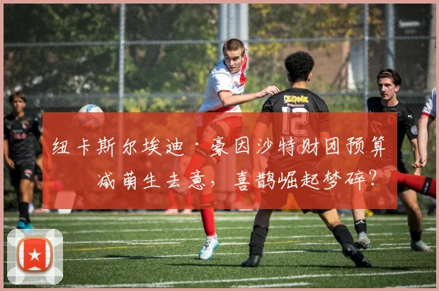 纽卡斯尔埃迪·豪因沙特财团预算削减萌生去意，喜鹊崛起梦碎？